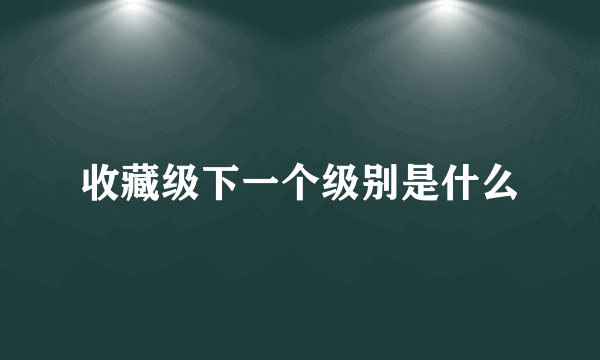 收藏级下一个级别是什么