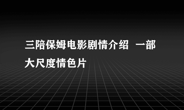 三陪保姆电影剧情介绍  一部大尺度情色片