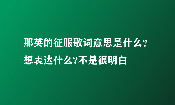 那英的征服歌词意思是什么？想表达什么?不是很明白