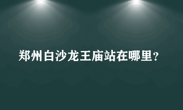 郑州白沙龙王庙站在哪里？