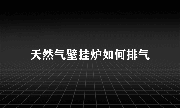 天然气壁挂炉如何排气