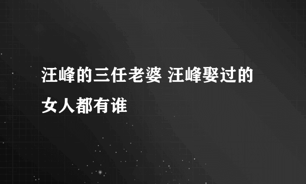 汪峰的三任老婆 汪峰娶过的女人都有谁