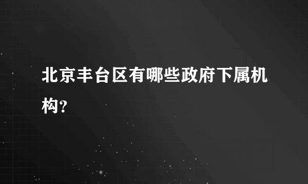 北京丰台区有哪些政府下属机构？