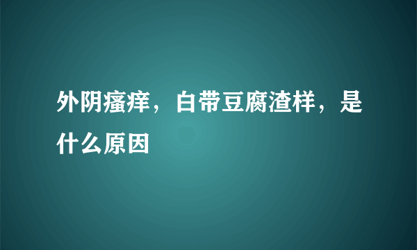 外阴瘙痒，白带豆腐渣样，是什么原因