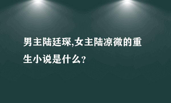 男主陆廷琛,女主陆凉微的重生小说是什么？