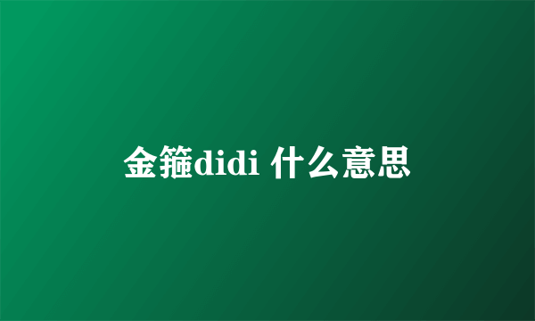 金箍didi 什么意思