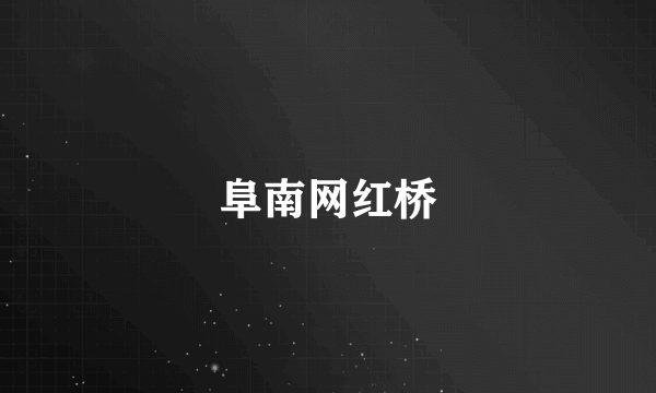 阜南网红桥