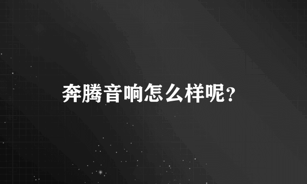 奔腾音响怎么样呢？