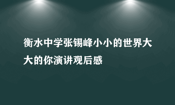 衡水中学张锡峰小小的世界大大的你演讲观后感