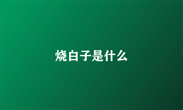 烧白子是什么