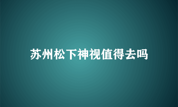 苏州松下神视值得去吗