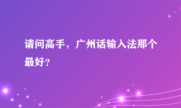 请问高手，广州话输入法那个最好？