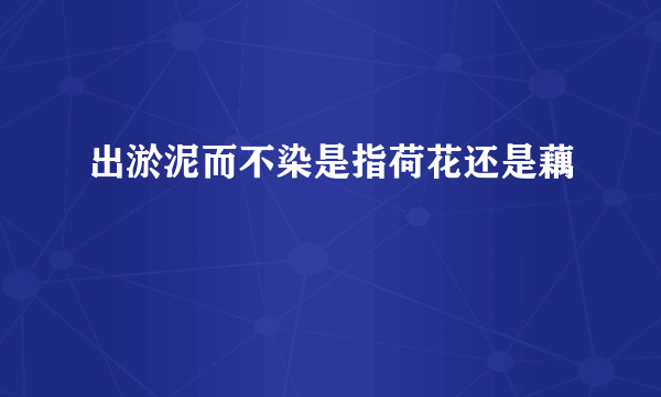 出淤泥而不染是指荷花还是藕