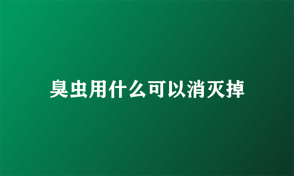 臭虫用什么可以消灭掉