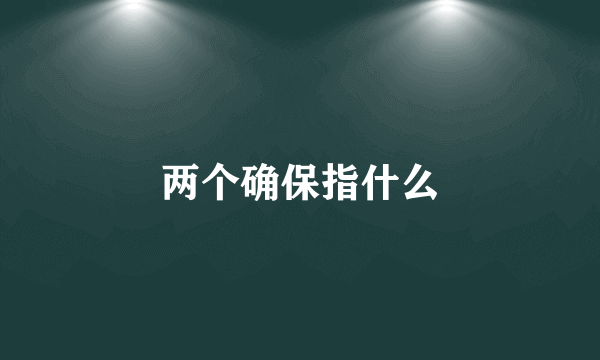 两个确保指什么