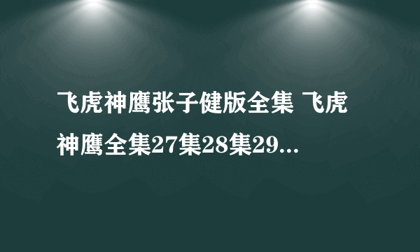 飞虎神鹰张子健版全集 飞虎神鹰全集27集28集29集30集