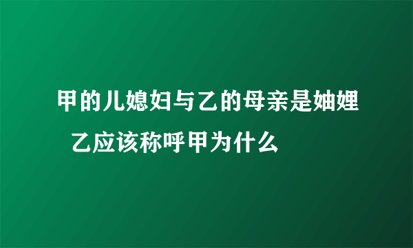 甲的儿媳妇与乙的母亲是妯娌  乙应该称呼甲为什么