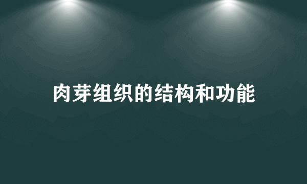 肉芽组织的结构和功能