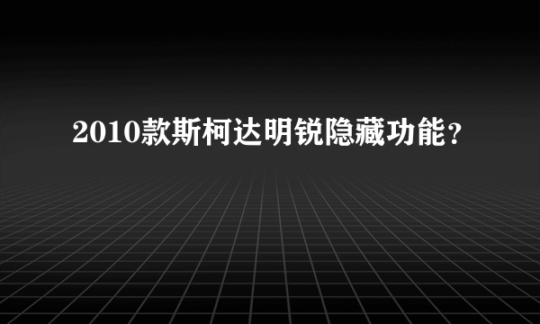 2010款斯柯达明锐隐藏功能？