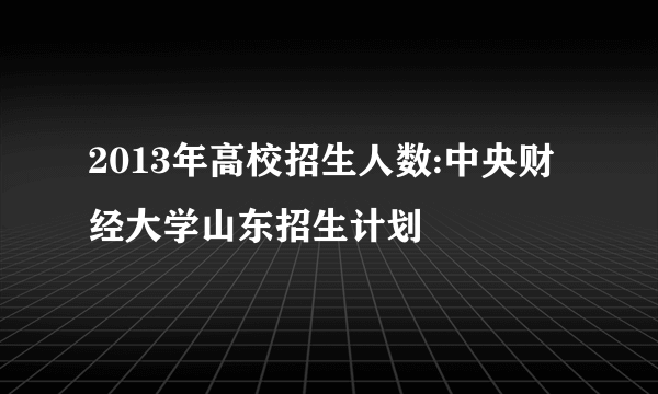 2013年高校招生人数:中央财经大学山东招生计划