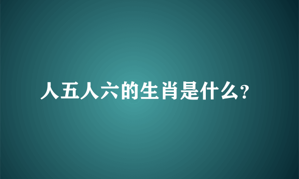 人五人六的生肖是什么？