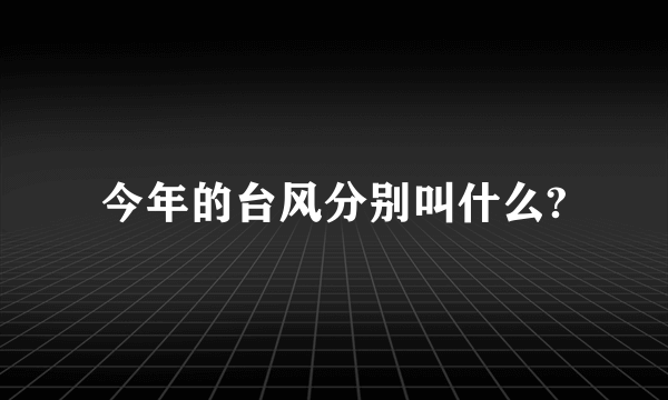 今年的台风分别叫什么?