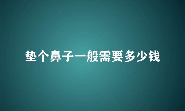 垫个鼻子一般需要多少钱