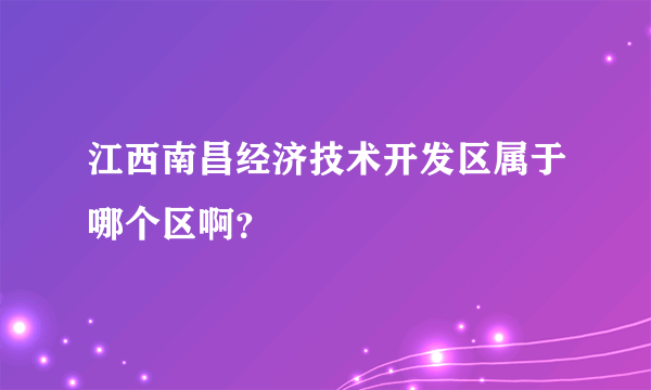 江西南昌经济技术开发区属于哪个区啊？