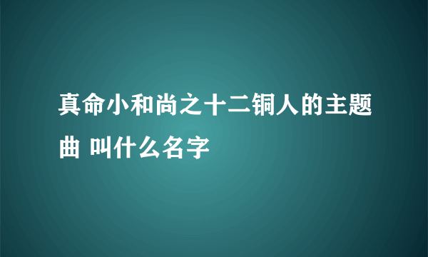 真命小和尚之十二铜人的主题曲 叫什么名字