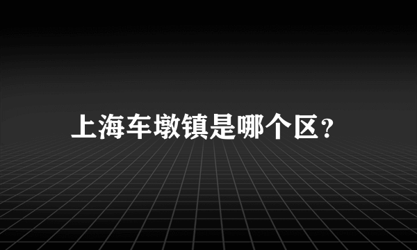 上海车墩镇是哪个区？