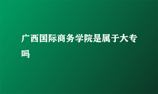 广西国际商务学院是属于大专吗