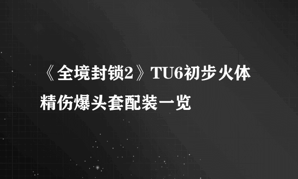 《全境封锁2》TU6初步火体精伤爆头套配装一览