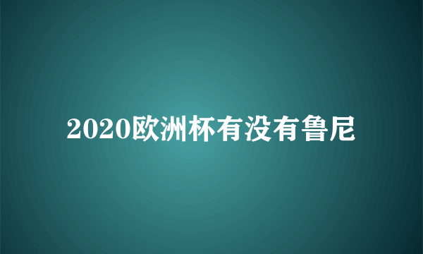 2020欧洲杯有没有鲁尼