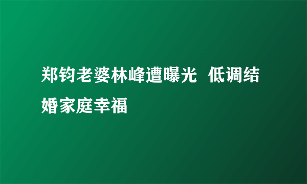 郑钧老婆林峰遭曝光  低调结婚家庭幸福