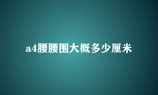 a4腰腰围大概多少厘米