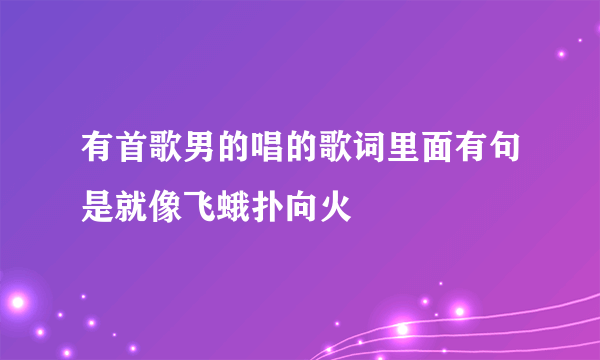 有首歌男的唱的歌词里面有句是就像飞蛾扑向火