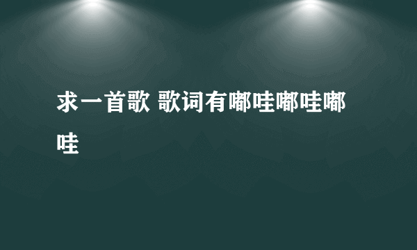 求一首歌 歌词有嘟哇嘟哇嘟哇