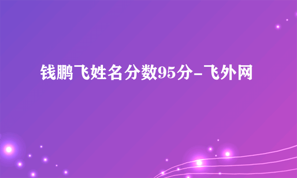 钱鹏飞姓名分数95分-飞外网