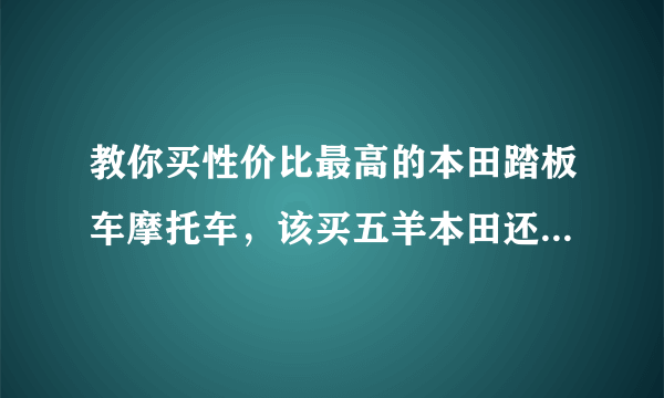 教你买性价比最高的本田踏板车摩托车，该买五羊本田还是新大洲本田