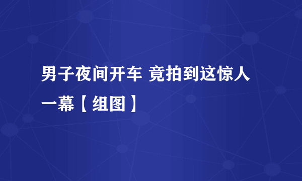 男子夜间开车 竟拍到这惊人一幕【组图】