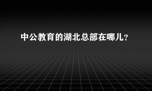 中公教育的湖北总部在哪儿？