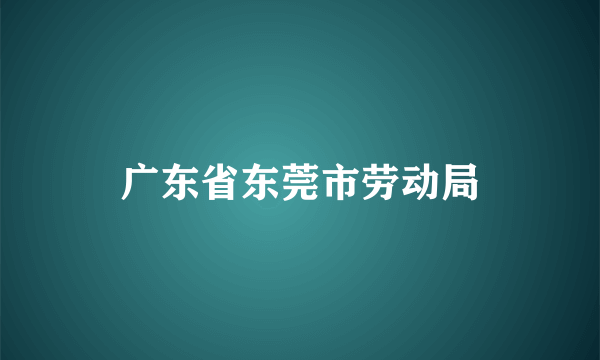 广东省东莞市劳动局