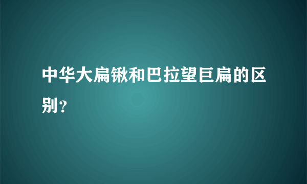 中华大扁锹和巴拉望巨扁的区别？