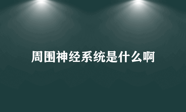 周围神经系统是什么啊