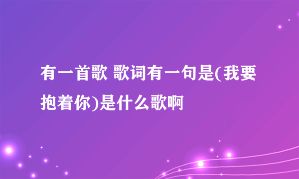 有一首歌 歌词有一句是(我要抱着你)是什么歌啊