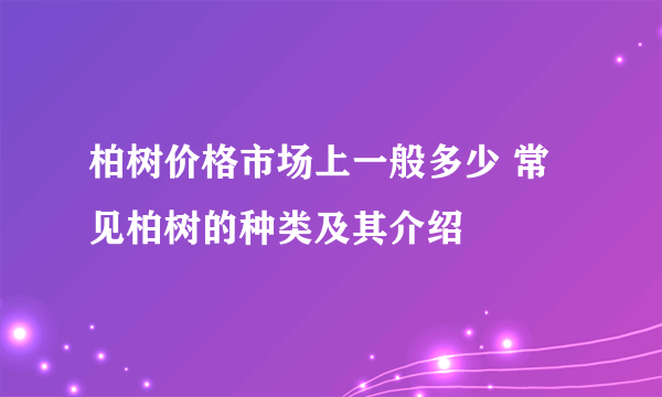 柏树价格市场上一般多少 常见柏树的种类及其介绍