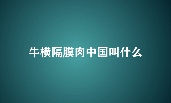 牛横隔膜肉中国叫什么