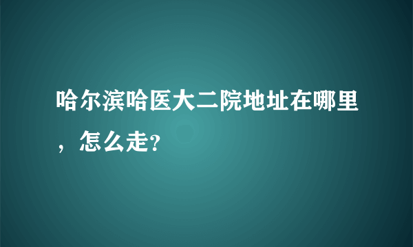 哈尔滨哈医大二院地址在哪里，怎么走？