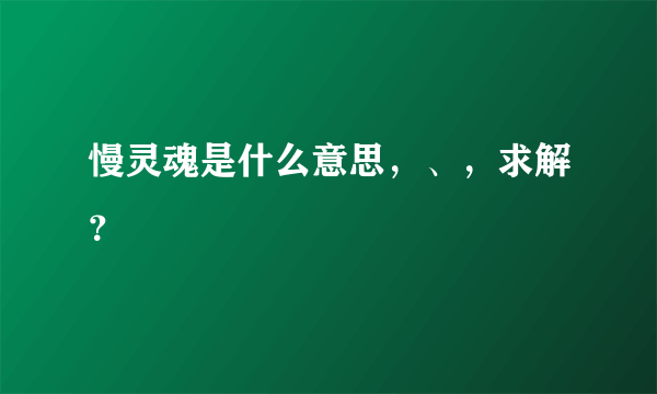 慢灵魂是什么意思，、，求解？