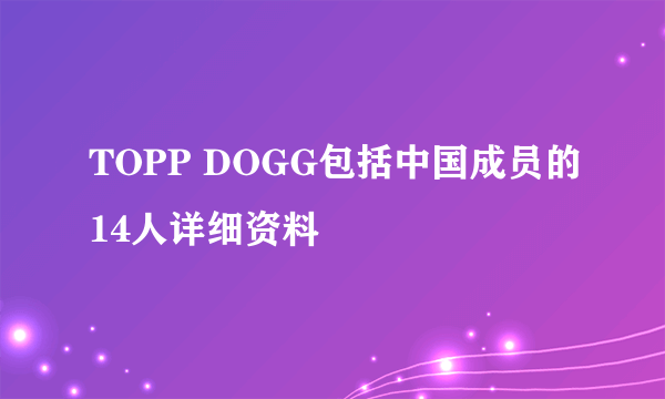 TOPP DOGG包括中国成员的14人详细资料